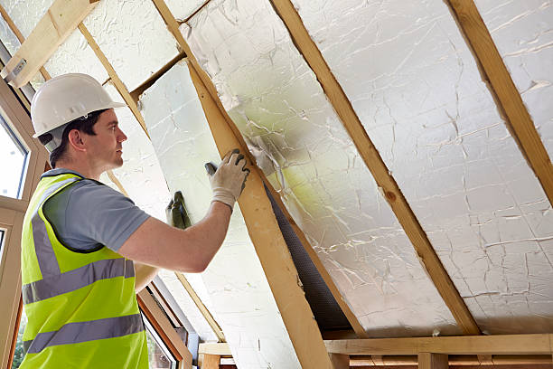 Best Spray Foam Insulation in Kotzebue, AK
