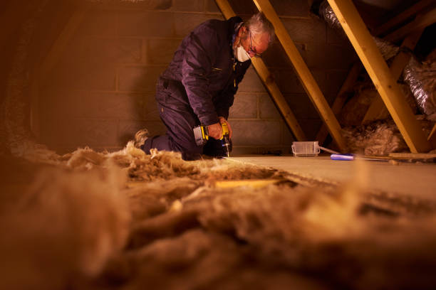 Best Eco-Friendly Insulation in Kotzebue, AK