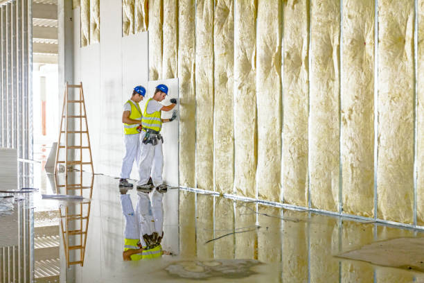 Best Residential Insulation in Kotzebue, AK